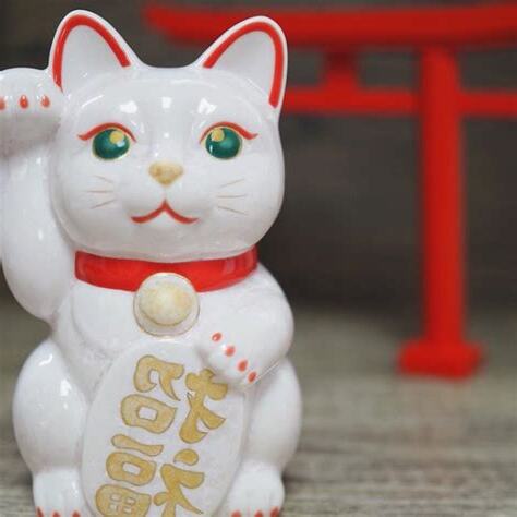 招財貓 哪裡買